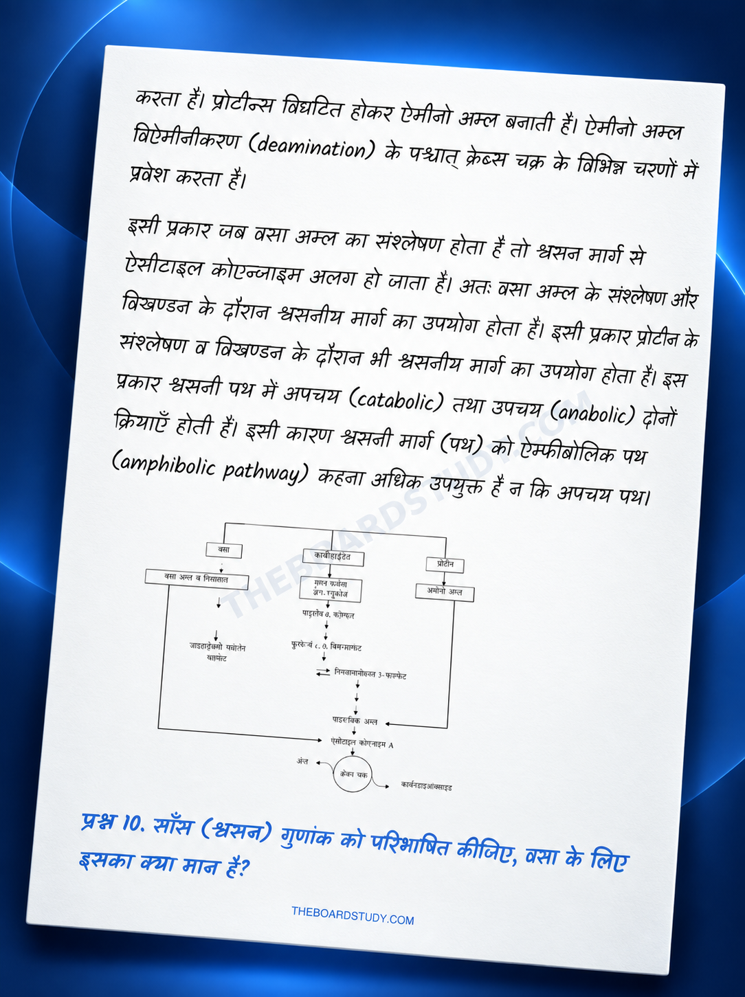 Biology Notes Preview 1