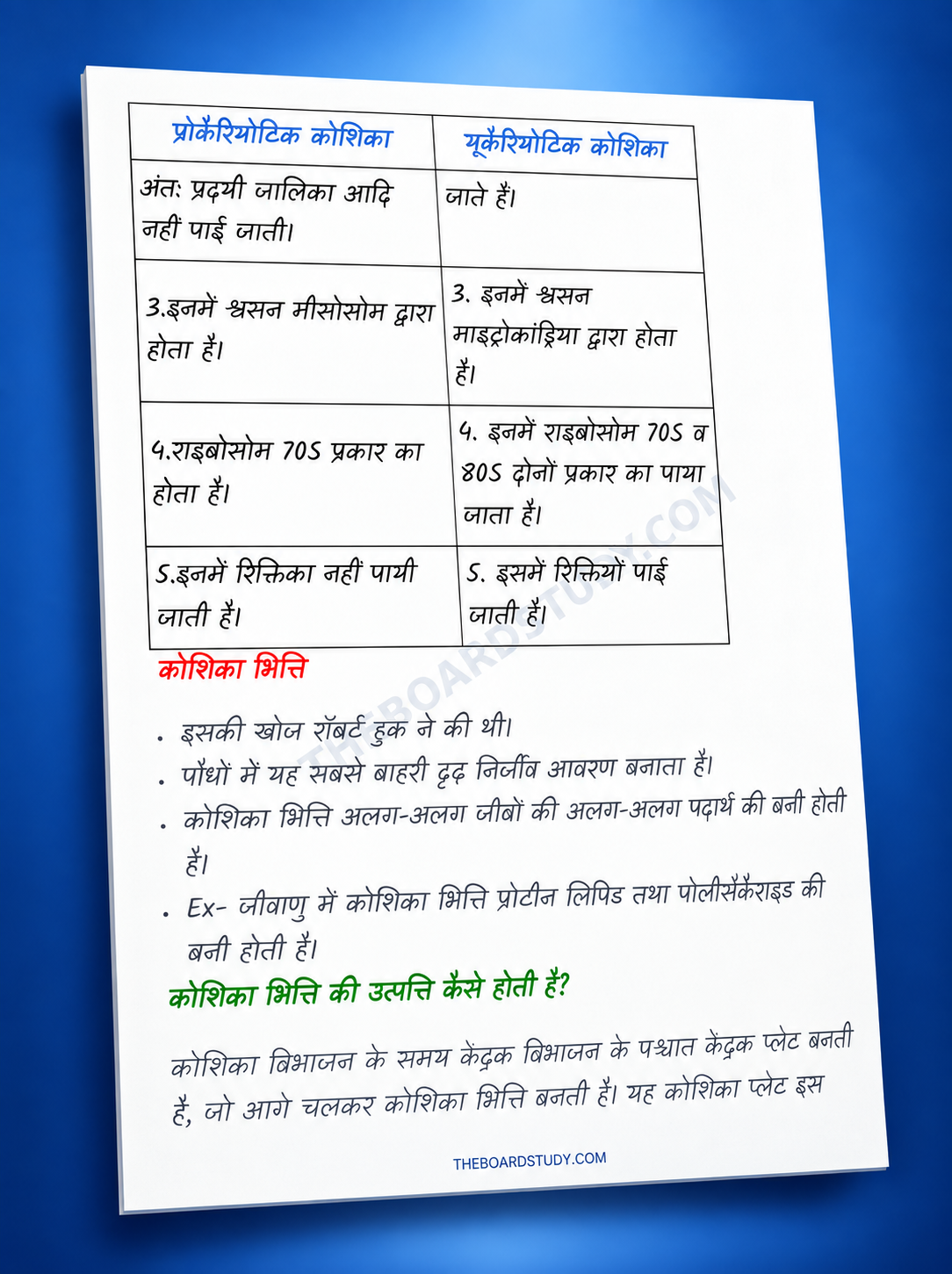 Biology Notes Preview 2